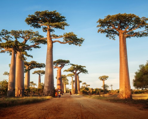 Groei en ontwikkeling Concrete handvatten door analyse